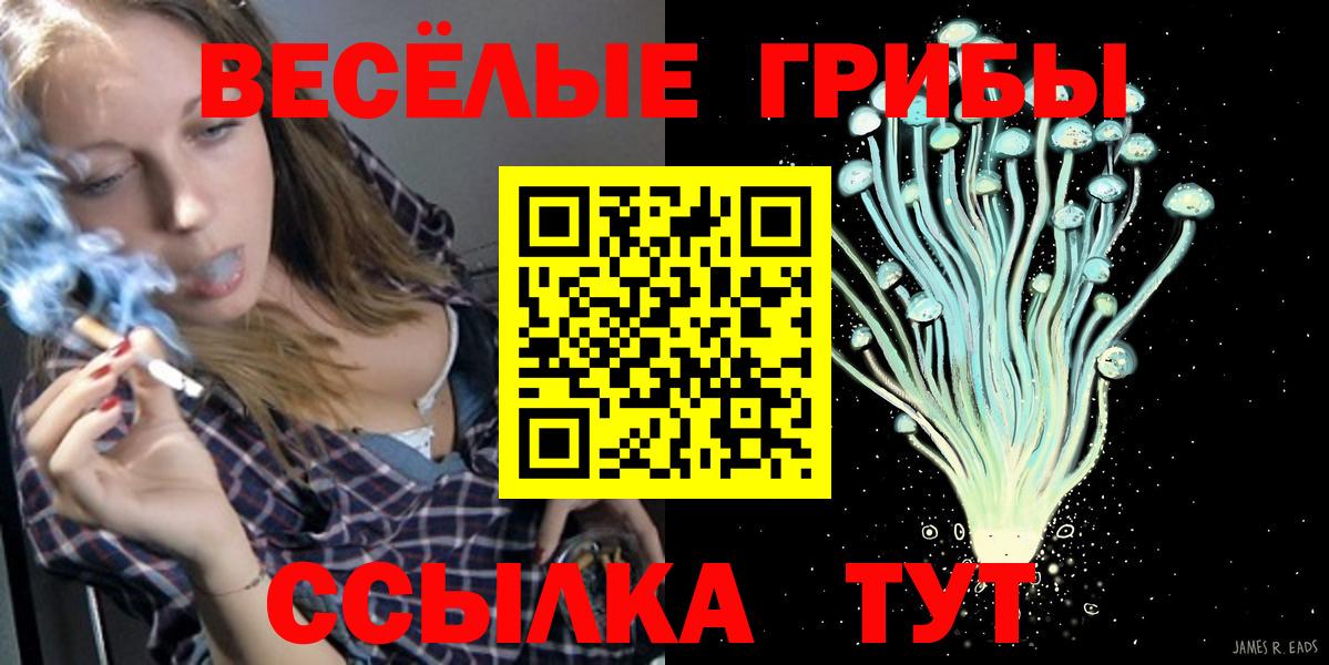 Галлюциногенные грибы Psilocybine cubensis Казань